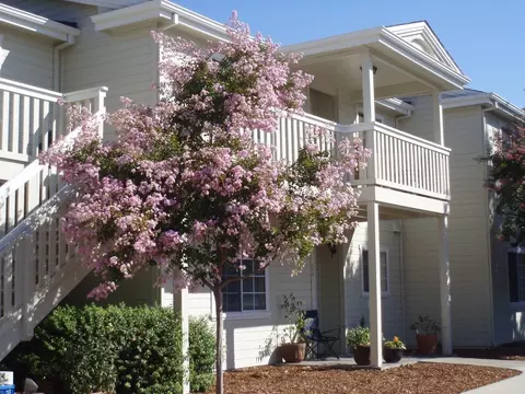 248 Tuscany Pl, Sonoma, CA 95476