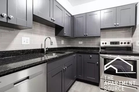 3825 N Pine Grove Ave #513, Chicago, IL 60613