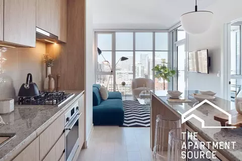369 W Grand Ave #1BD1BATH, Chicago, IL 60654