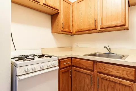 1164 N Dearborn St #205, Chicago, IL 60610