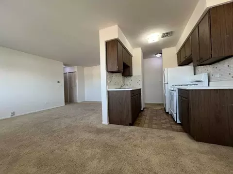 3001 Thatcher Ave #3M, River Grove, IL 60171