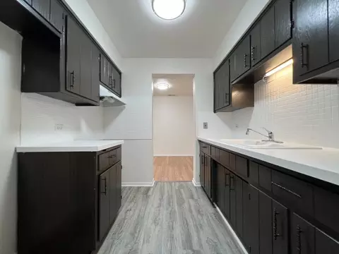 2300 N Harlem Ave #305, Elmwood Park, IL 60707