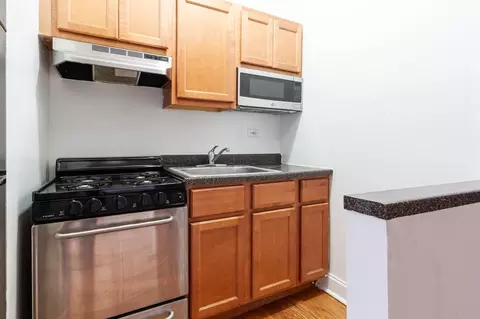 948 W Cuyler Ave #113, Chicago, IL 60613