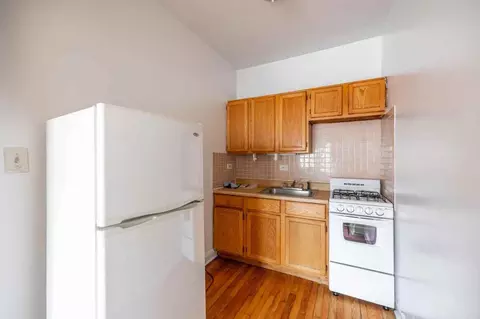 1145 W Morse Ave #102, Chicago, IL 60626