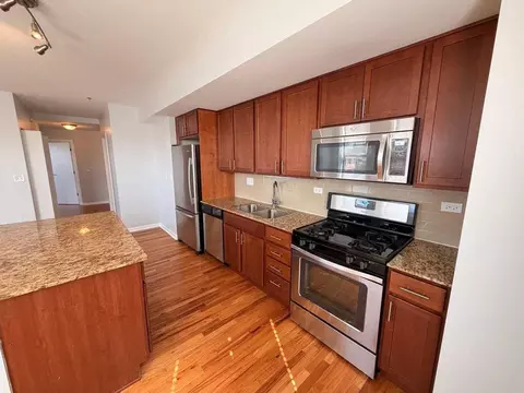 1337 W Fargo Ave #204, Chicago, IL 60626