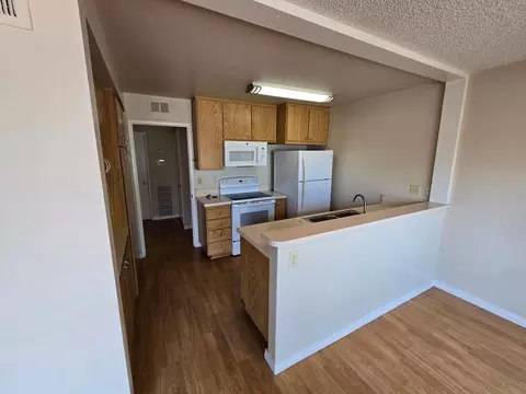3286 Caminito Ameca, La Jolla, CA 92037 photo 14