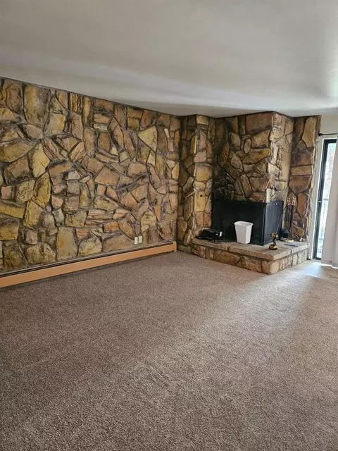 176 E La Bonte St, Dillon, CO 80435