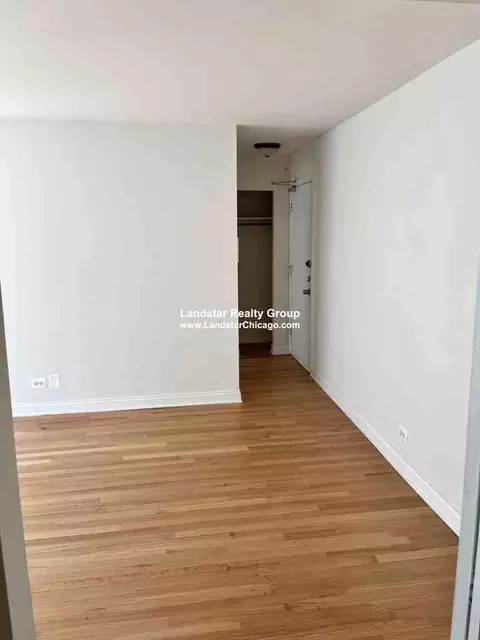 3710 N Pine Grove Ave #311, Chicago, IL 60613