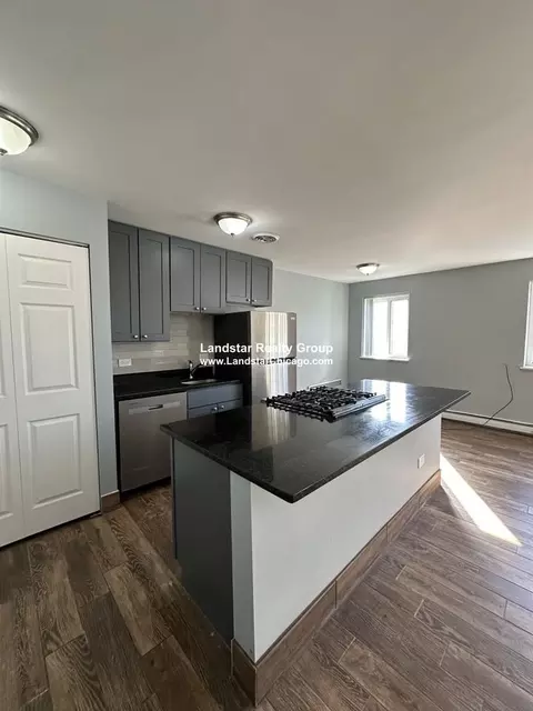 663 W Grace St #507, Chicago, IL 60613