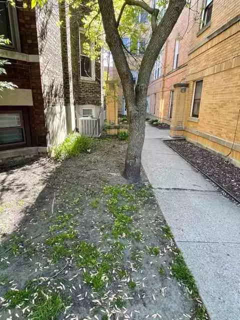 3917 N Southport Ave #1E, Chicago, IL 60613
