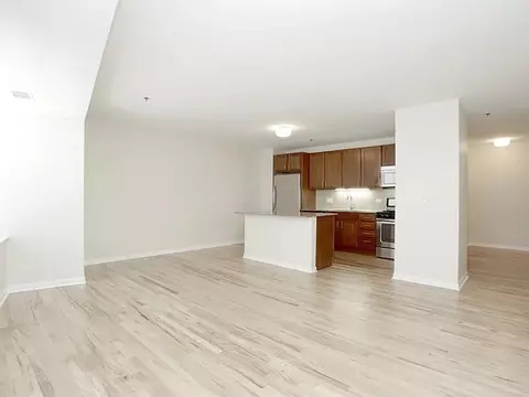 1337 W Fargo Ave #703, Chicago, IL 60626