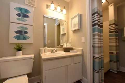 625 Green Wave Dr, Gallatin, TN 37066 photo 7