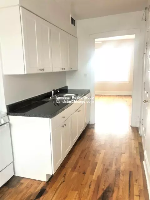 3050 W Berteau Ave #3, Chicago, IL 60618