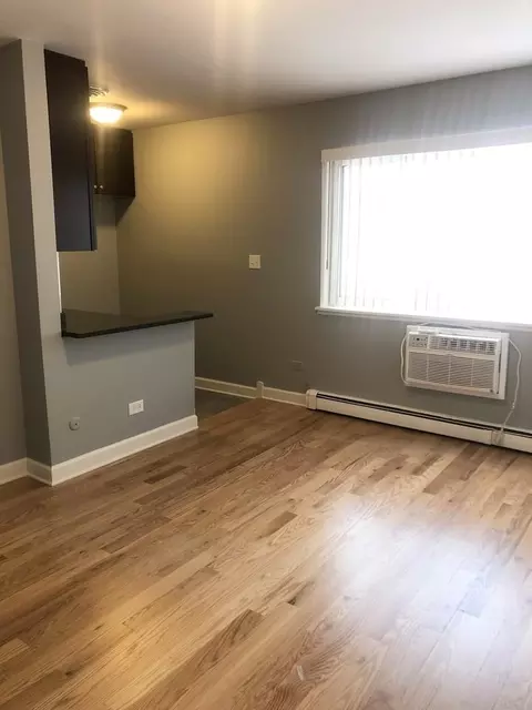 663 W Grace St #311, Chicago, IL 60613