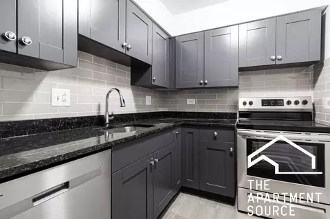 3825 N Pine Grove Ave #310, Chicago, IL 60613