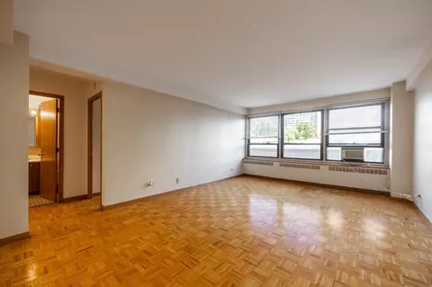 4180 N Marine Dr #308, Chicago, IL 60613