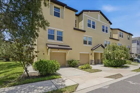 4429 Tuscan Loon Dr, Tampa, FL 33619