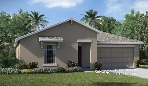 10254 Strawberry Tetra Dr, Riverview, FL 33578