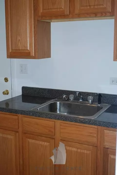 6341 N Magnolia Ave #43-1D, Chicago, IL 60660