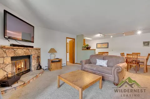 89410 Ryan Gulch Rd, Silverthorne, CO 80498