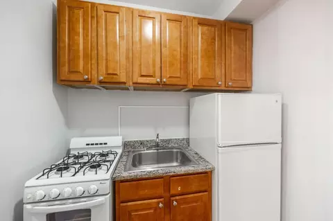 917 W Eastwood Ave #418, Chicago, IL 60640