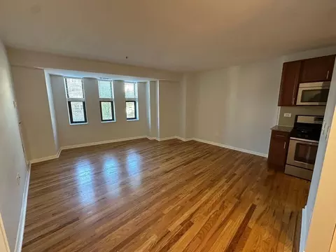 1337 W Fargo Ave #207, Chicago, IL 60626
