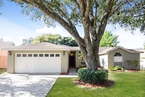 2341 Tioga Dr, Land O' Lakes, FL 34639