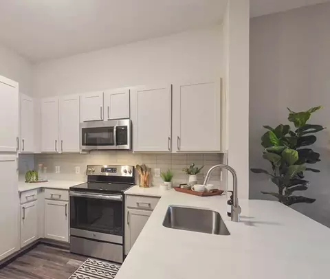 5080 Pear Ridge Dr #2.1005, Dallas, TX 75287