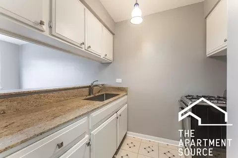 663 W Grace St #409, Chicago, IL 60613