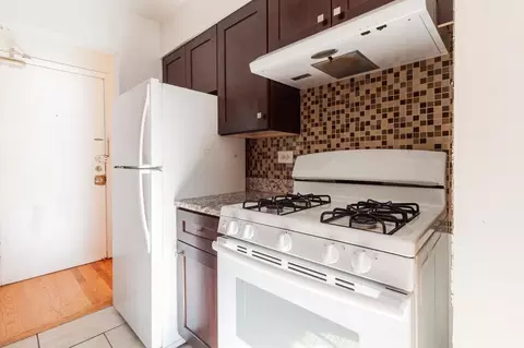 3710 N Pine Grove Ave #206, Chicago, IL 60613