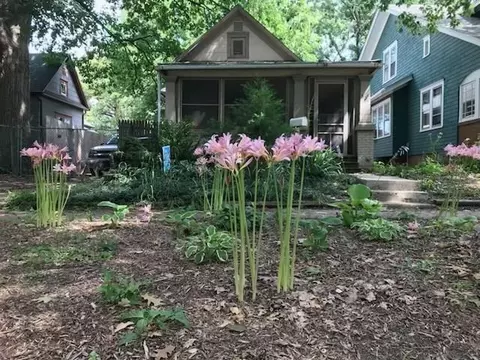 504 Elm St, Urbana, IL 61802