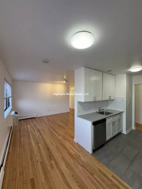 6972 N Sheridan Rd #302, Chicago, IL 60626