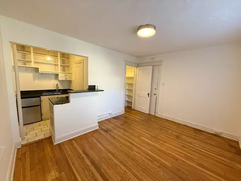 1226 N Marion St #3, Denver, CO 80218