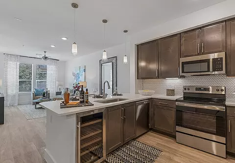 1610 Ruiz St #3022.0, Houston, TX 77002