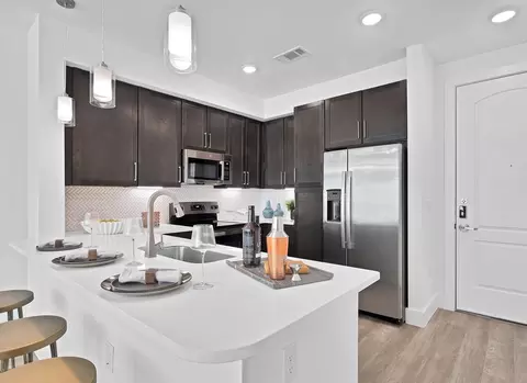 1610 Ruiz St #5900.2, Houston, TX 77002