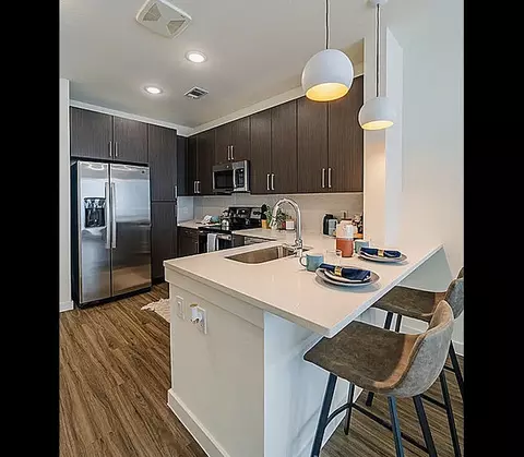 1517 Sterrett St #4009.1, Houston, TX 77002