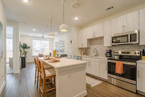 1517 Sterrett St #1008.5, Houston, TX 77002