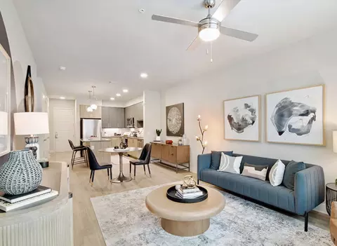 955 Saint Joseph Pkwy #3722.9, Houston, TX 77002