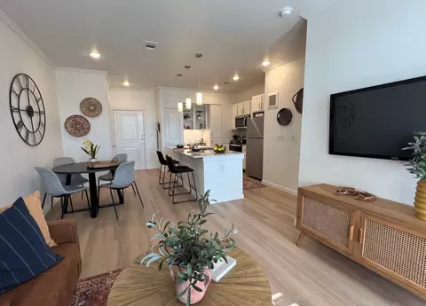240 Mcilhenny St #5150.2, Houston, TX 77004