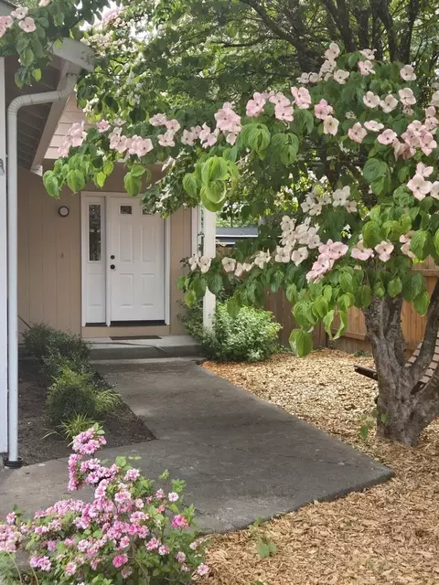 1140 Central St NE #NA, Olympia, WA 98506