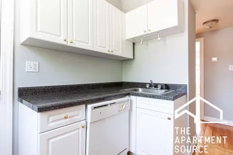 552 W Aldine Ave #S1, Chicago, IL 60657