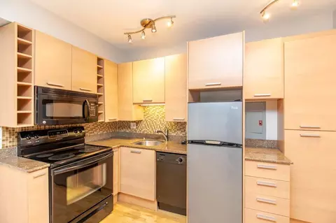 732 W Bittersweet Pl #1203, Chicago, IL 60613