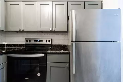 3825 N Pine Grove Ave #205, Chicago, IL 60613
