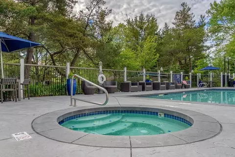 304 118th Ave SE, Bellevue, WA 98005 photo 34