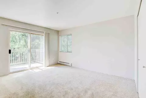 304 118th Ave SE, Bellevue, WA 98005 photo 17