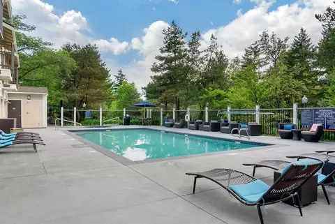 304 118th Ave SE, Bellevue, WA 98005 photo 33