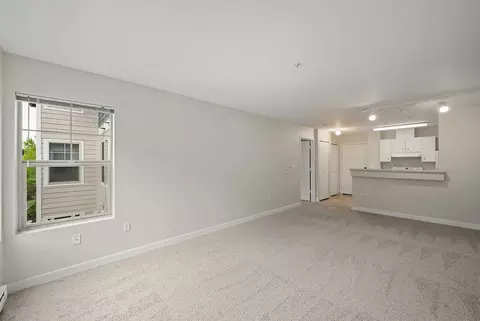 304 118th Ave SE, Bellevue, WA 98005 photo 16