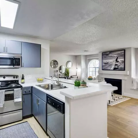 4905 Courtside Dr, Irving, TX 75038 photo 2