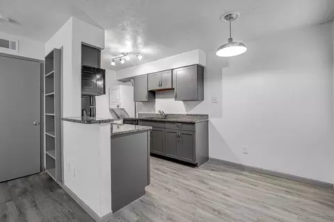 4905 Courtside Dr, Irving, TX 75038 photo 51