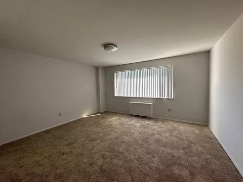 9119 Manchester Rd, Silver Spring, MD 20901 photo 6